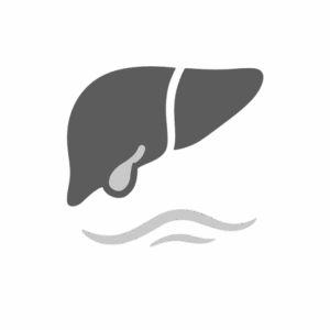 Soutien hépato-biliaire / Détoxification