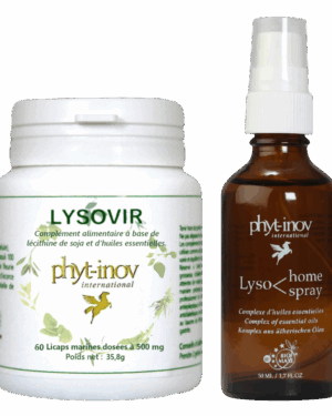 Duo essentiel de l'Hiver